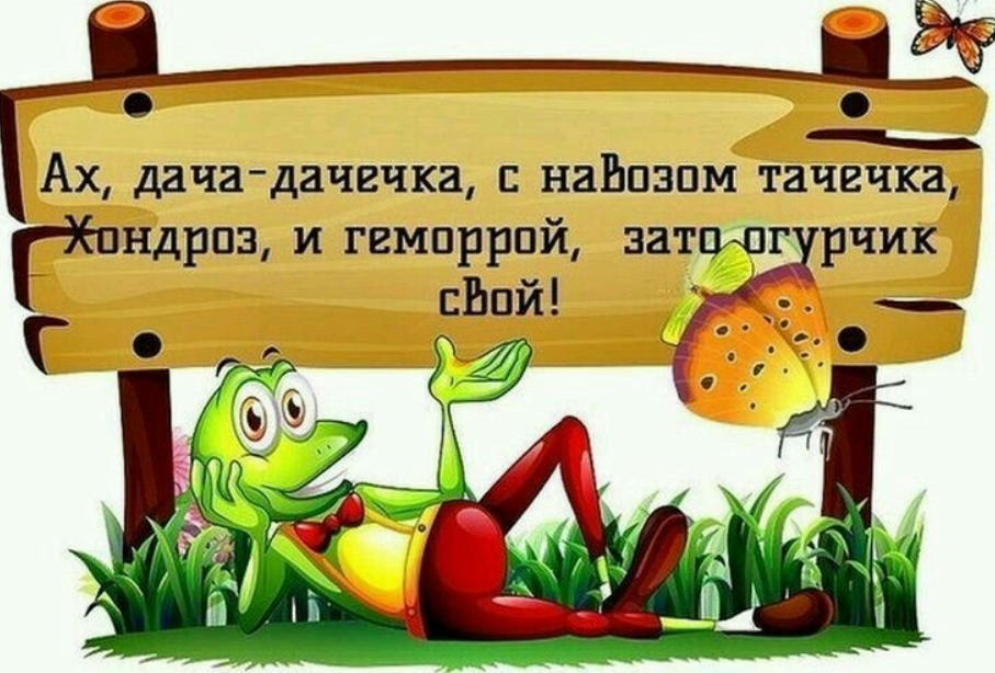 Погрузитесь в природу