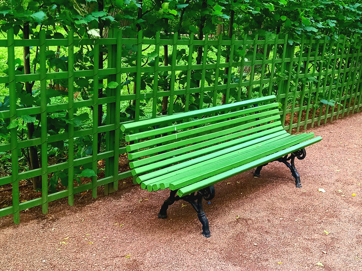 В Летнем  саду.