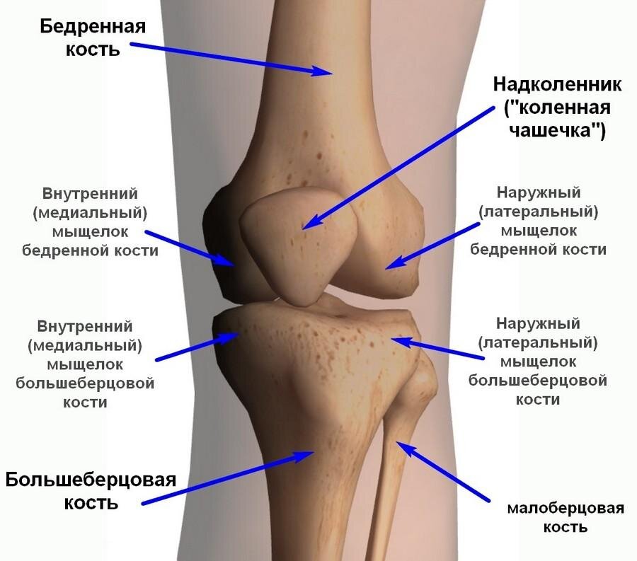 Участки кости