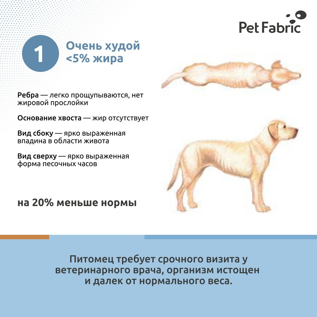 Наглядная схему по определению веса собаки