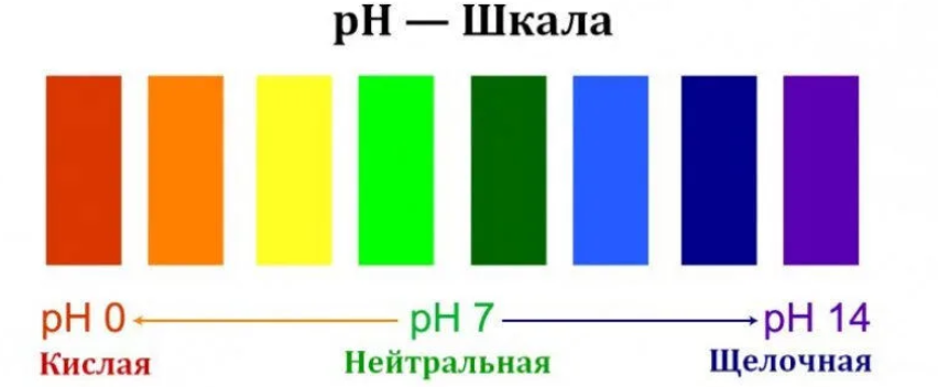 Вопрос по РН индексу.