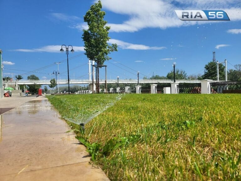    11 июля ожидается +39 градусов. МЧС напоминает оренбуржцам о правилах безопасности в жару Кристина Просвиркина