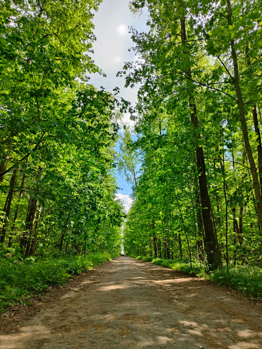 фото автора Елены М.