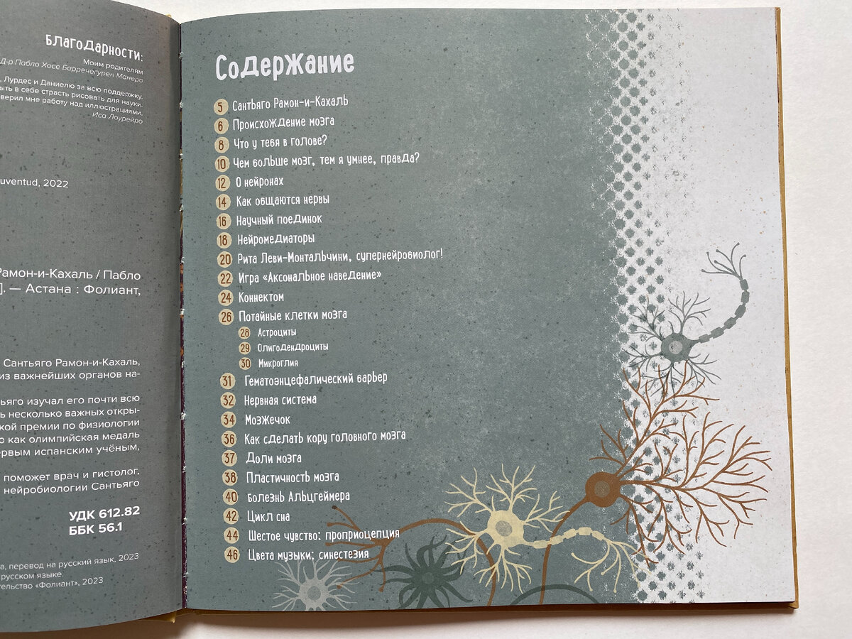 Оглавление. Пабло Барречегурен. Мозг человека. Объясняет доктор Сантьяго Рамон-и-Кахаль (Фолиант, 2023). Иллюстрации Исы Лоурейро. Перевод с испанского П. Казанковой.