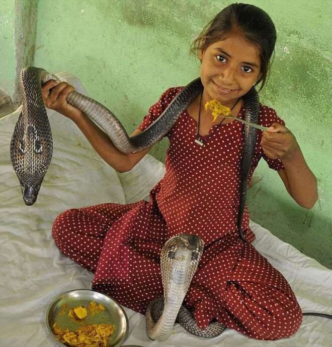 Источник g1.globo.com