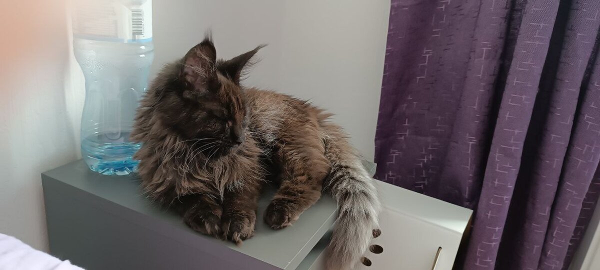 Главный любитель сожрать солененького