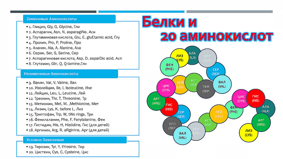 20 важных аминокислот для жизни