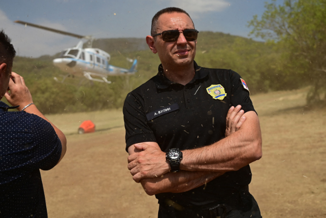 Александр Вулин. Фото из открытых источников. 