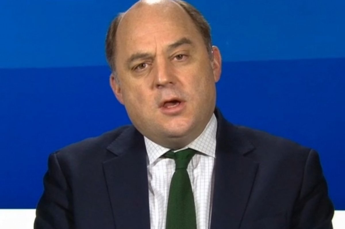    Бен Уоллес потребовал большей благодарности от Киева