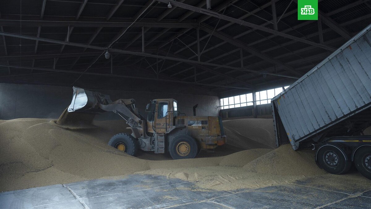    Фото: Associated Press © 2023, Andrew Kravchenko