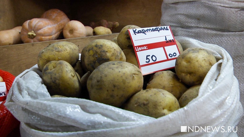 10 килограмм картошки. Картошка в магазине. Картофель подорожал. День картофеля. 2 Кг картошки.