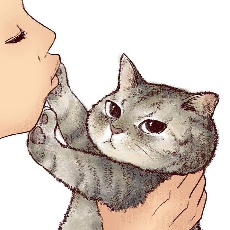 Как правильно общаться с кошкой