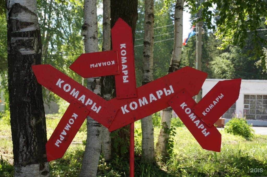 В Тверской области в оздоровительных лагерях устранили нарушения противопожарной безопасности и СанПиНа