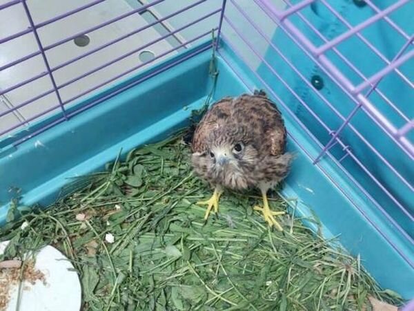 Источник фото: uprvetro.donland.ru