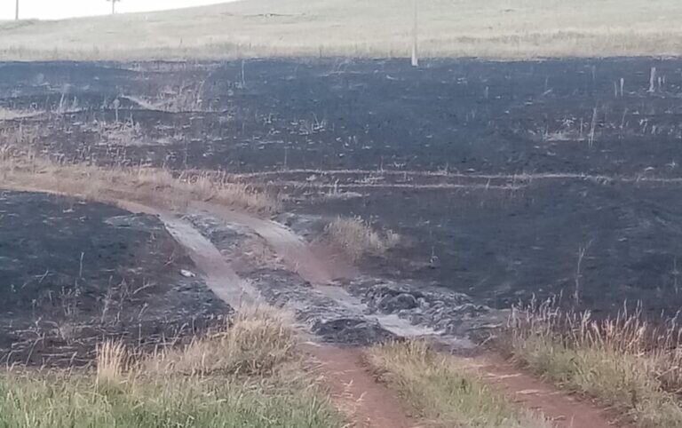    В Оренбуржье от искры из выхлопной трубы трактора загорелось сено, водитель получил ожоги Кристина Просвиркина