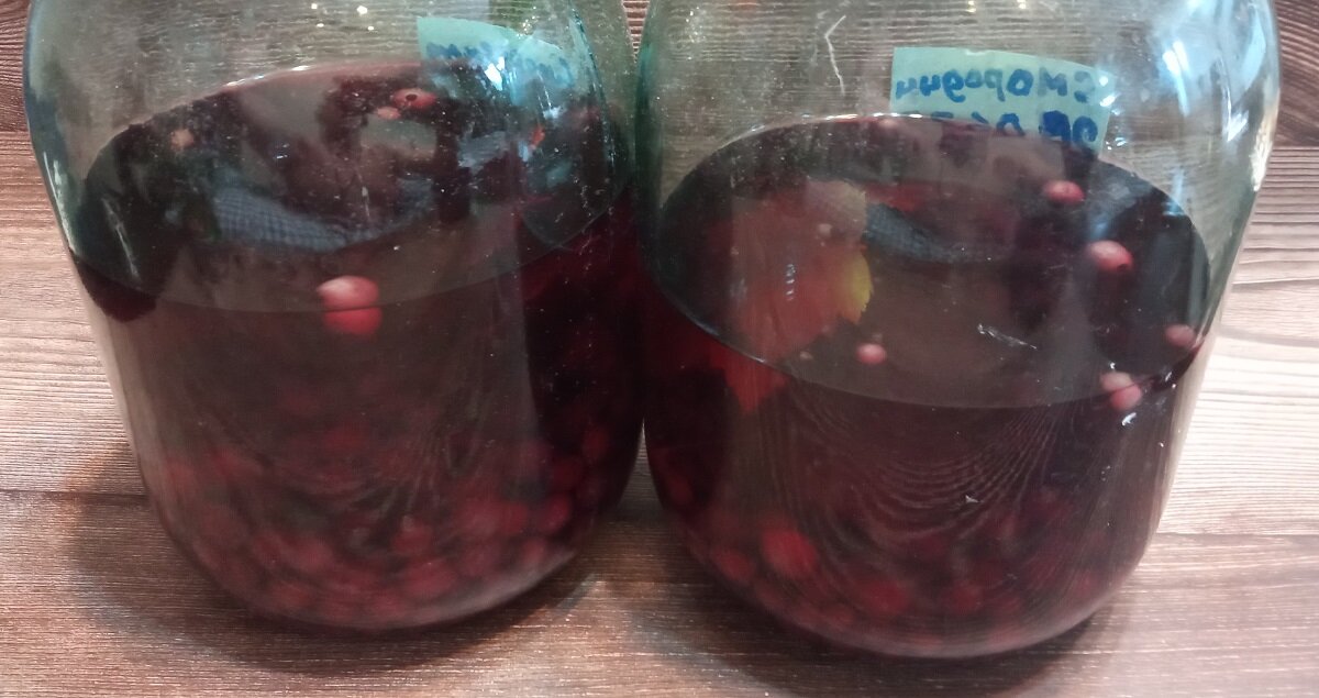 Настаивание