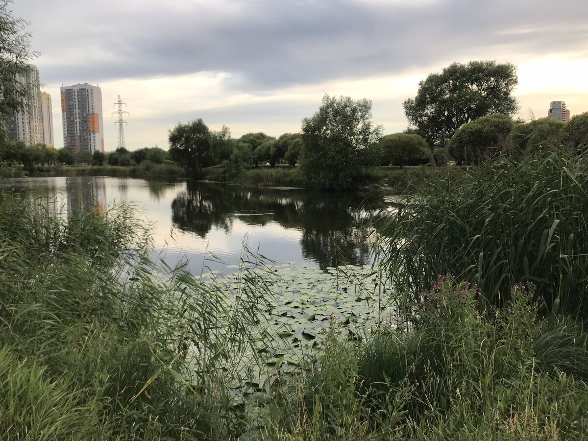 В парке рядом с домом