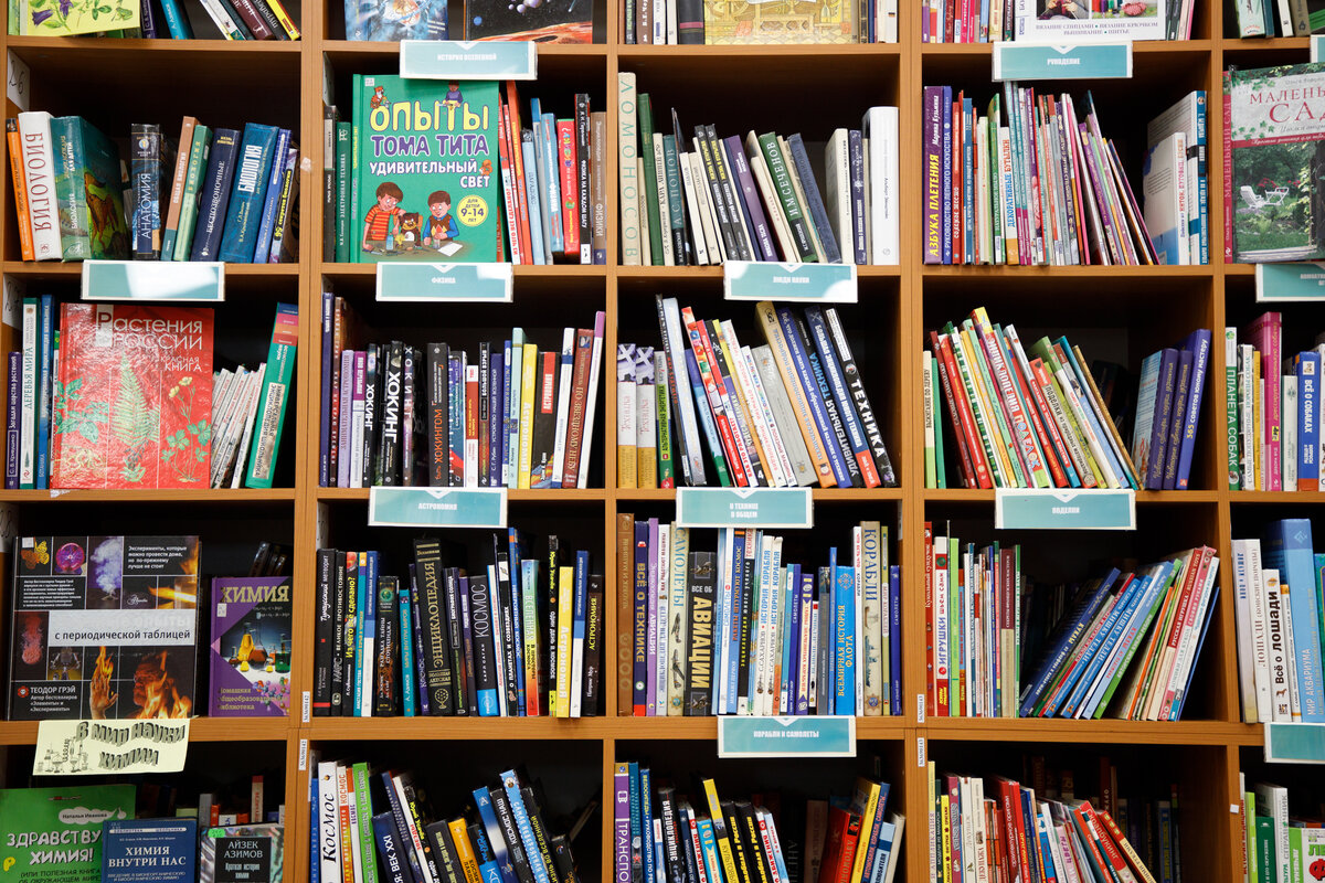 тульская детская библиотека