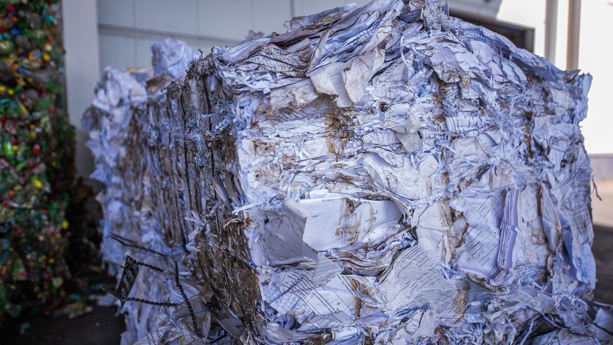     Электронная торговая площадка по купле-продаже вторичных материальных ресурсов (ЭТП), учрежденная усилиями публично-правовой компании «Российский экологический оператор», организовала исследование среди пользователей и установила необходимость введения индекса цен.