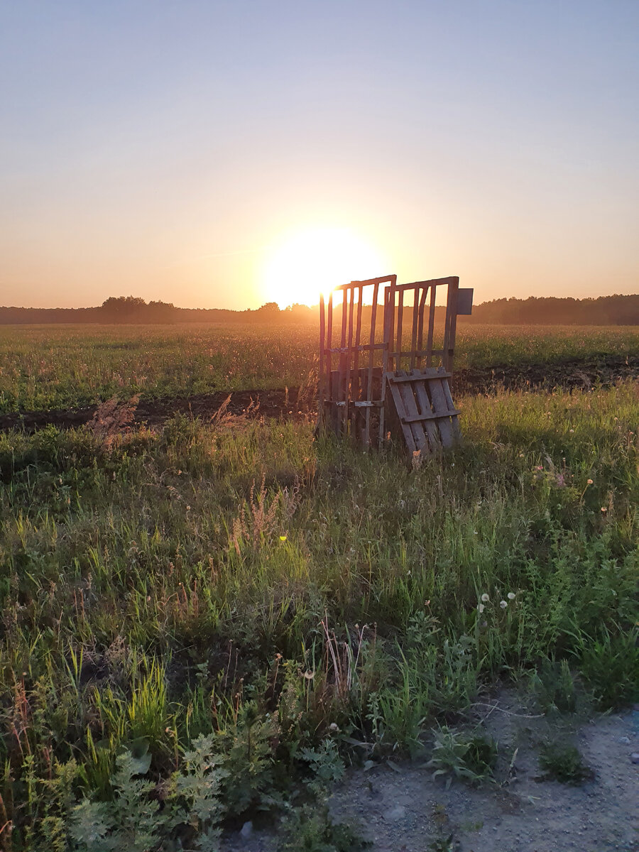 Закат в полях