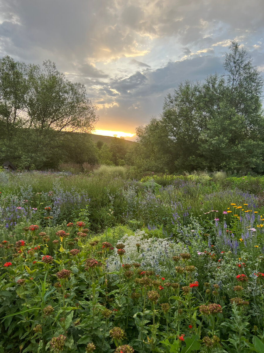 раннее июльское утро