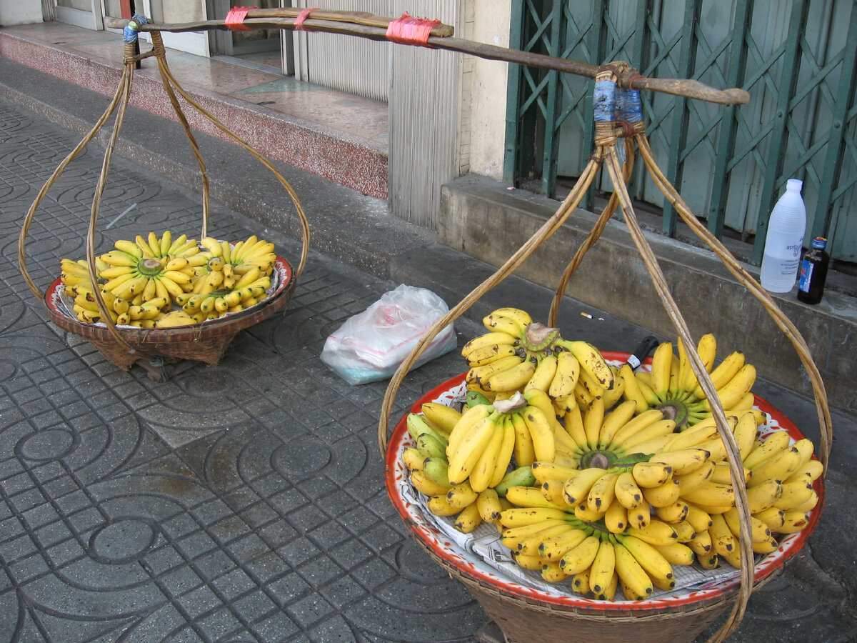 Галерея из 30 фотографий