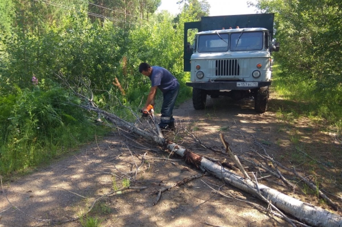    Почти 40 аварий на электросетях произошло в Томске из-за грозы