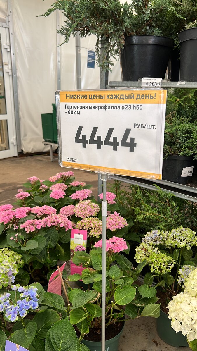 Такого я не ожидала. 