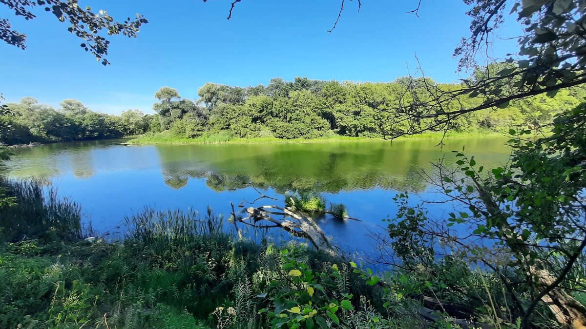 Вода в реке сок