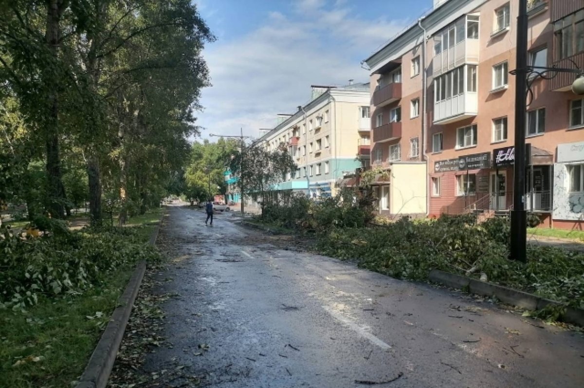    Мэр Абакана призвал горожан помочь с устранением последствий урагана