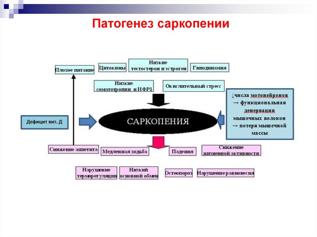 Что такое геронтология?