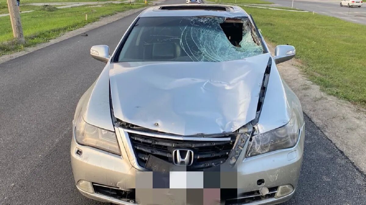 Смертельное ДТП в Бердске: Водитель Honda Legend насмерть сбил 16-летнего  велосипедиста | Курьер.Среда | Дзен