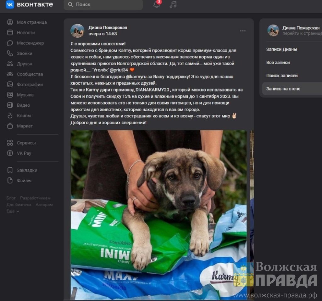 Приют уголек. Приют для животных Волжский