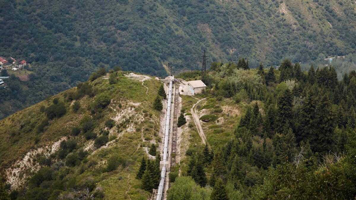    Фото: Unsplash Август Макаров