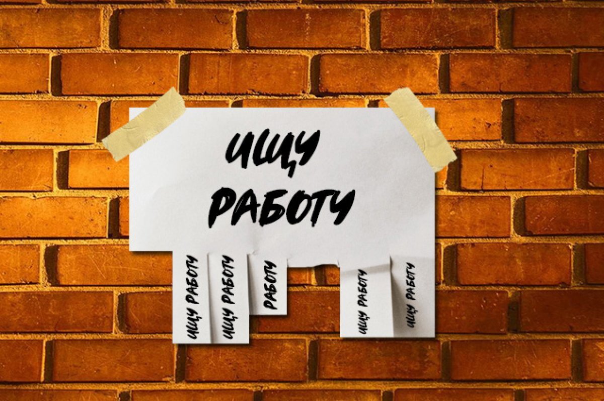    В 1,5 раза в Мурманской области снизилась конкуренция за рабочие места