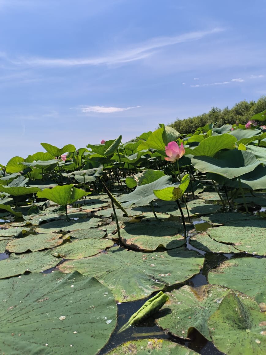 фотография из личного архива 
