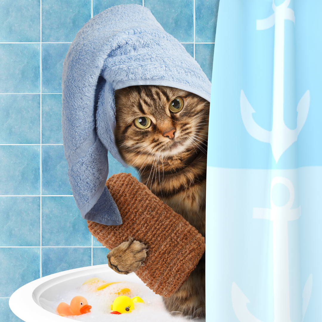Источник фото: Canva
