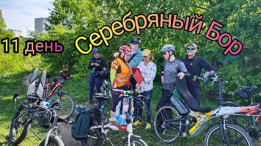 11 день. Велоэкскурсия по Москве с Натали Лисапедовой. Серебряный бор.