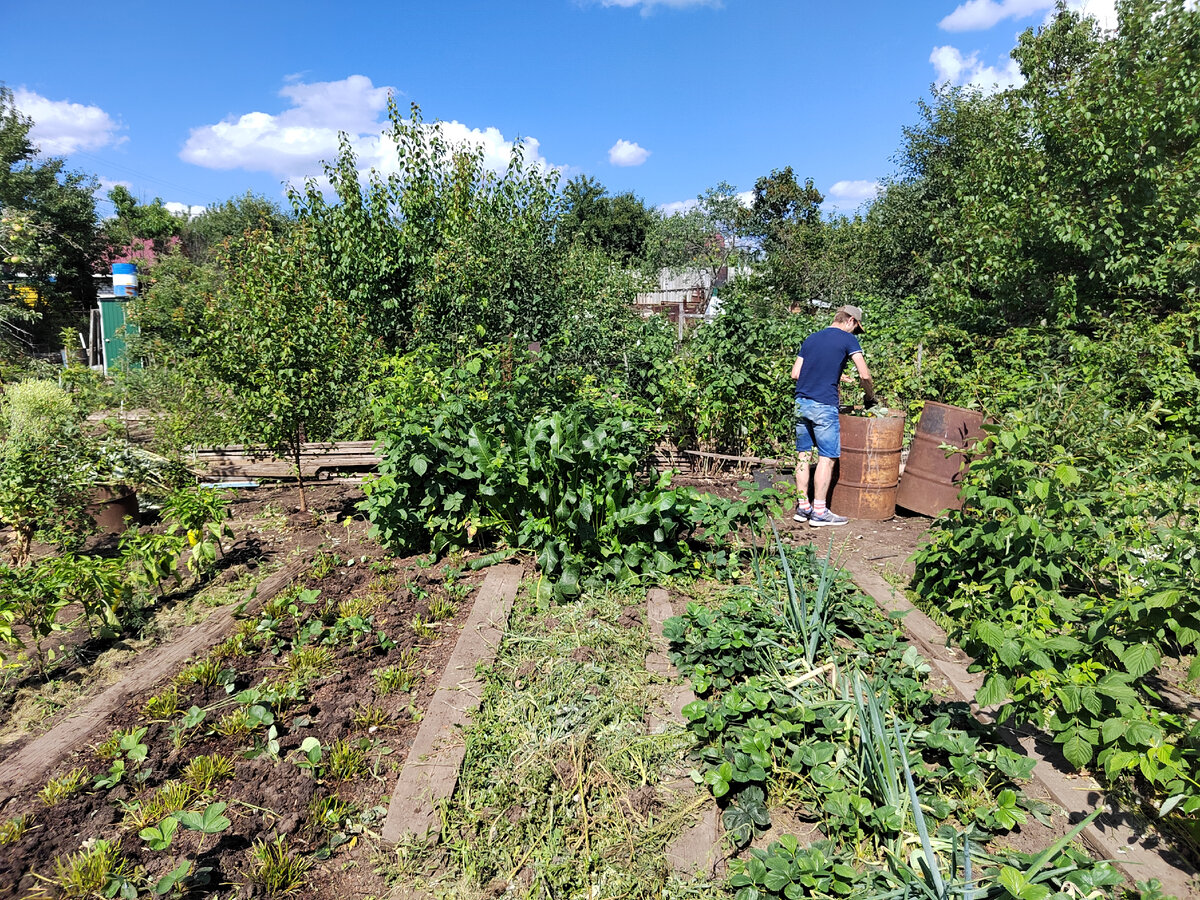 Я умею теперь малину корчевать.