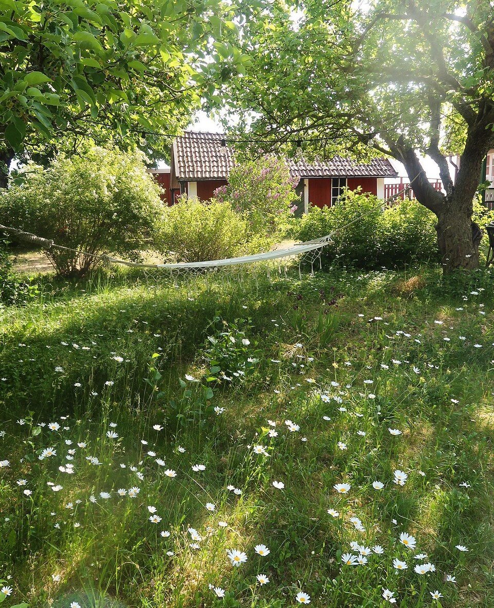    Соцсети блогера gubbetorp