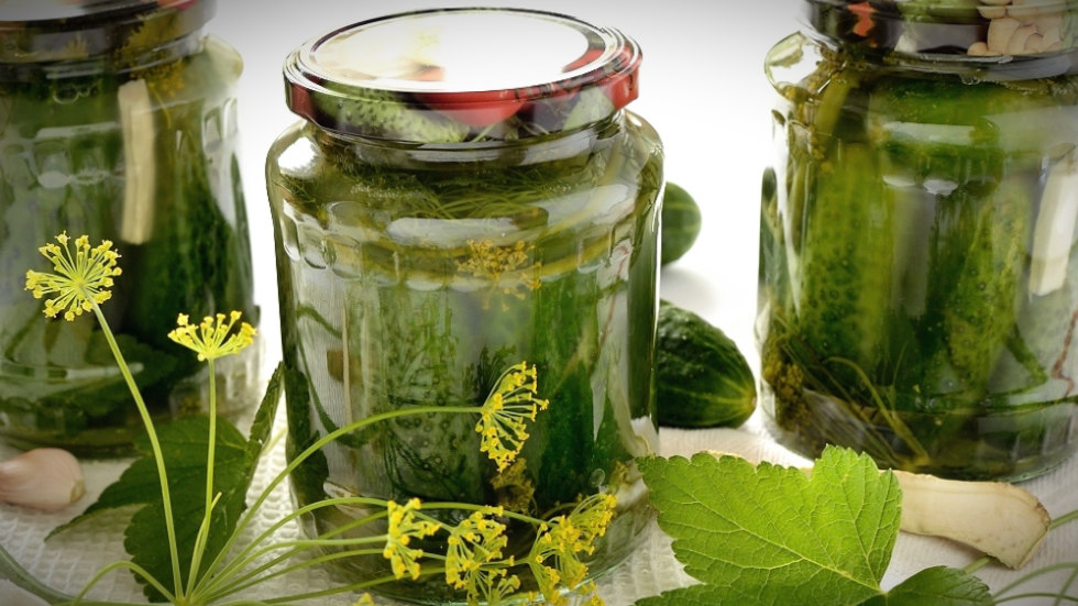 засолка огурцов