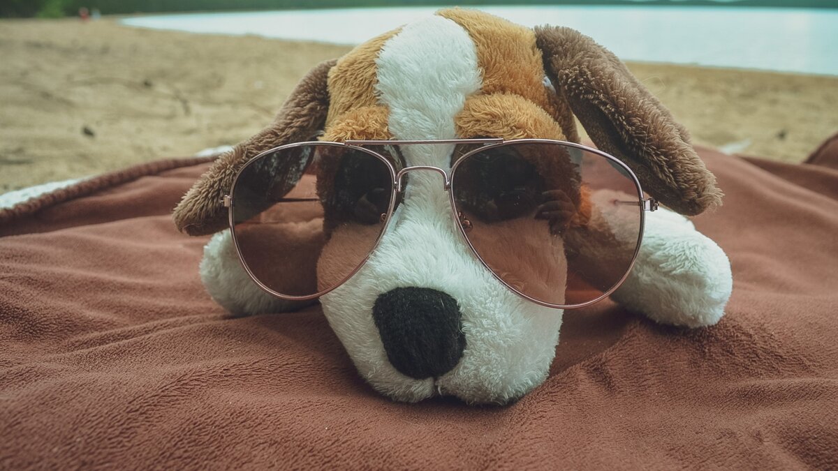     Последняя неделя июля принесет в Ростовскую область жару до +39 градусов, сообщили синоптики.