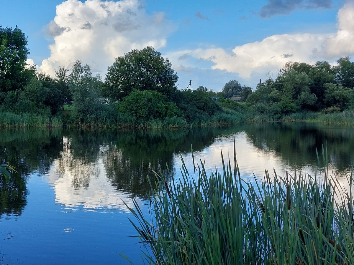 гороскоп на неделю июль 2023, фото Людмила Коссович