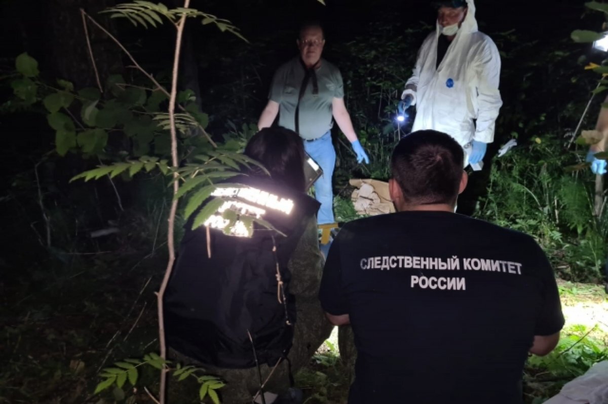    Мэр Дивногорска Сергей Егоров прокомментировал убийство 16-летней девушки