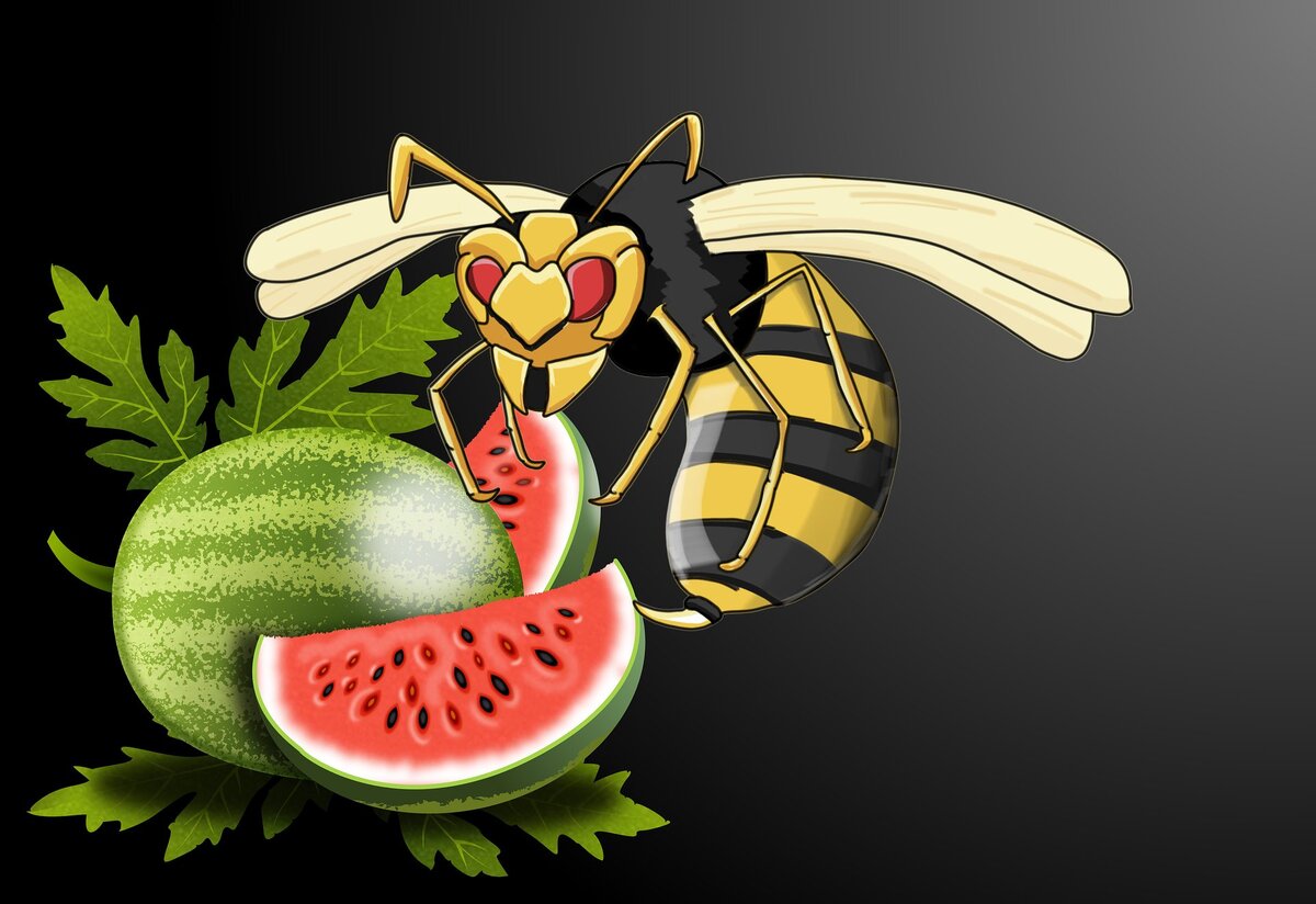 Про пчёл и фрукты
