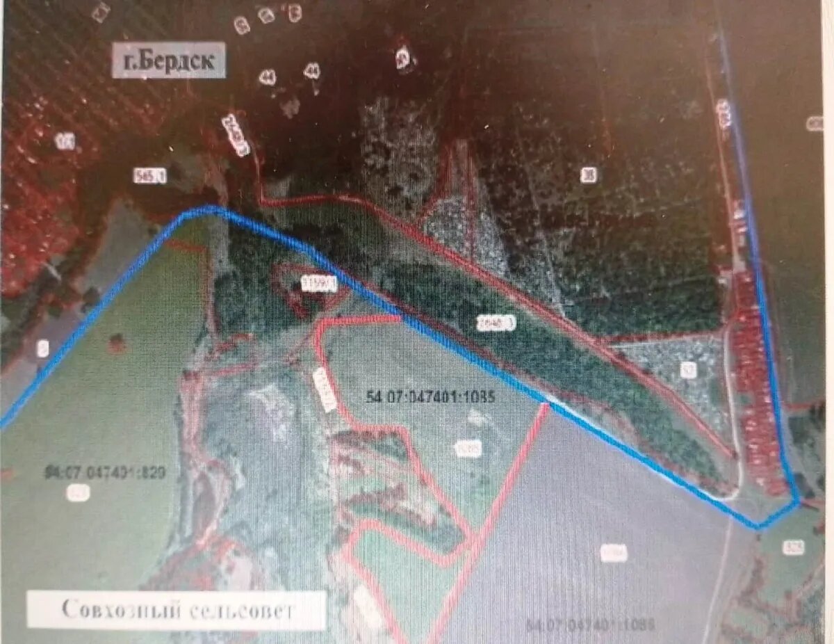 Бердск может увеличиться в размерах на 22 га. Фото: Скриншот с карты