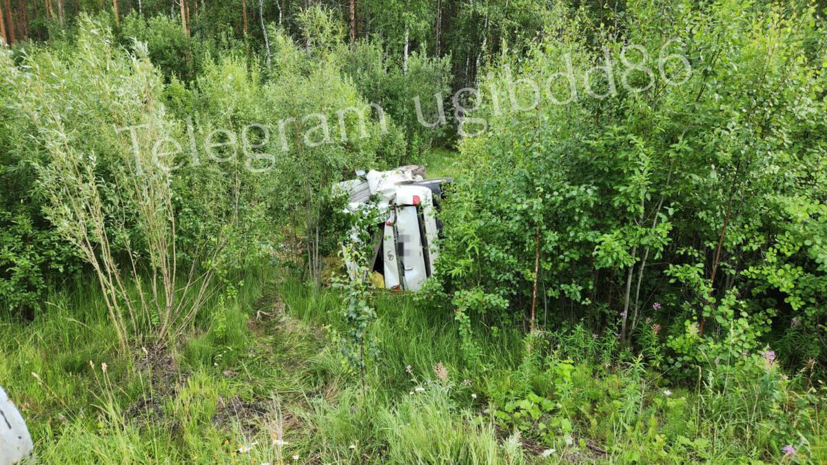     В ГИБДД рассказали подробности случившегося.