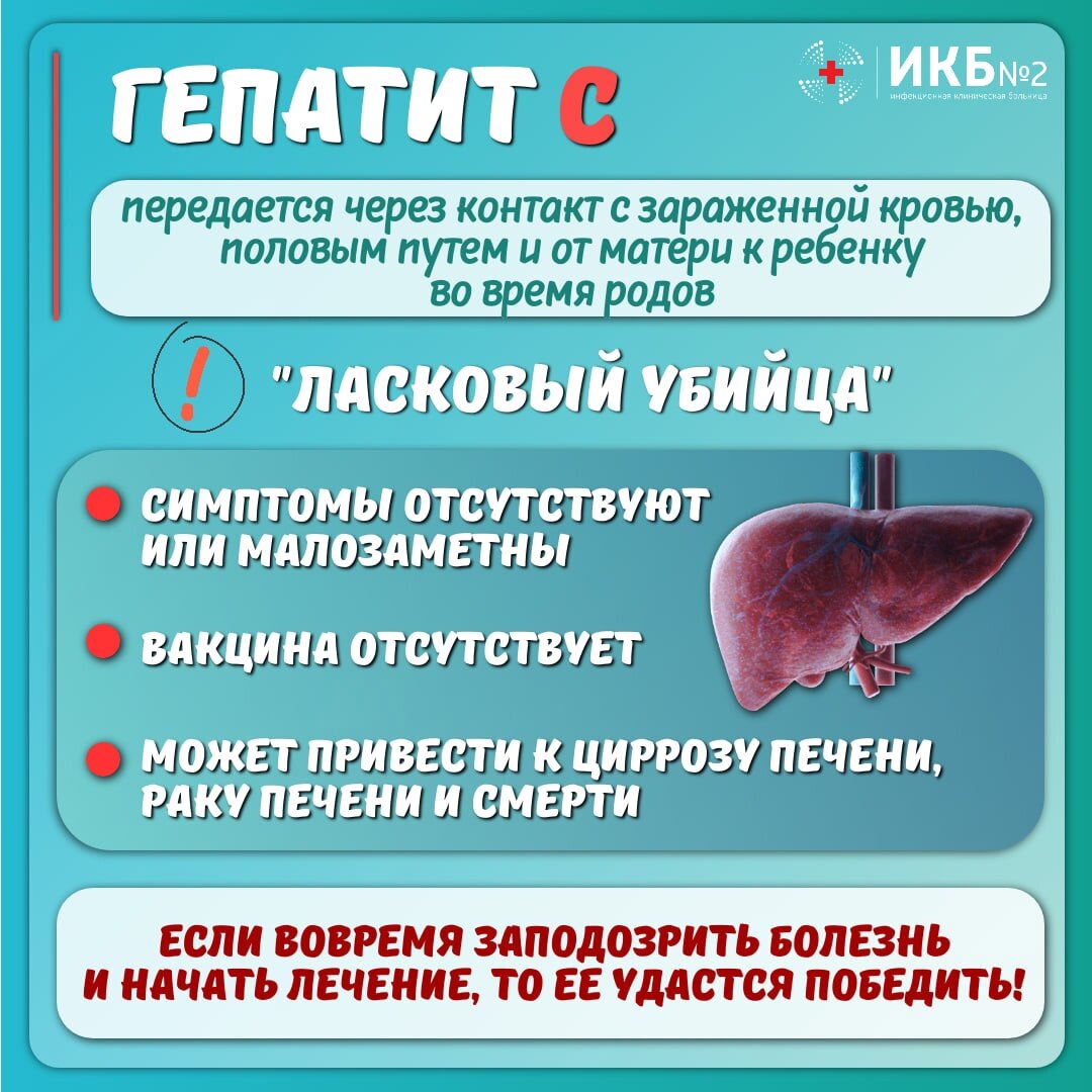 Гепатиты: что важно знать о вирусных заболеваниях печени? | Инфекционная  больница №2 города Москвы | Дзен