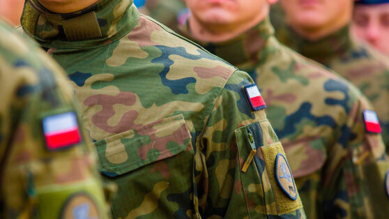    Польша планирует увеличить численность армии до 300 тысяч человек Юлия Шелковенко