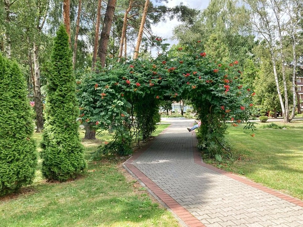 Фото: УСАДЬБУШКА 